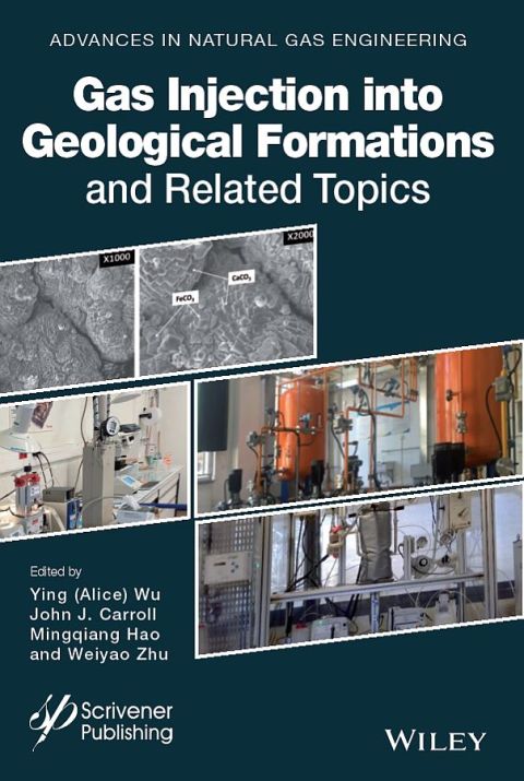 Gas Injection into Geological Formations and Related Topics 