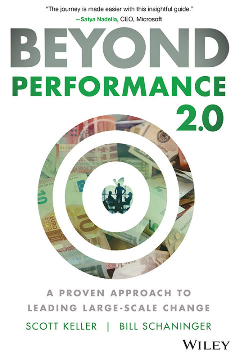Cover image for book Beyond Performance 2.0