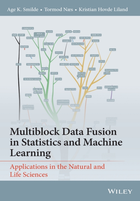 Cover image for book Multiblock Data Fusion in Statistics and Machine Learning