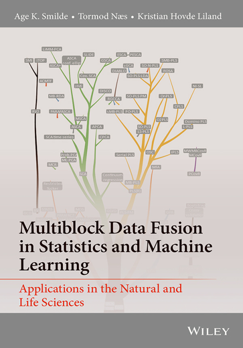 Cover image for book Multiblock Data Fusion in Statistics and Machine Learning