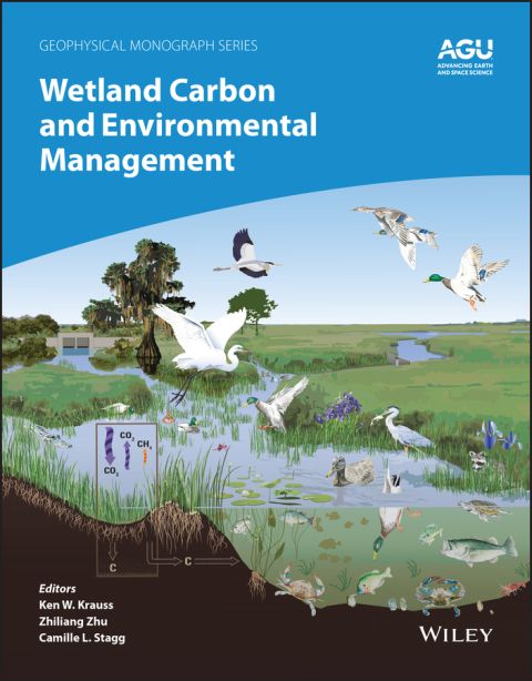 Cover image for book Wetland Carbon and Environmental Management