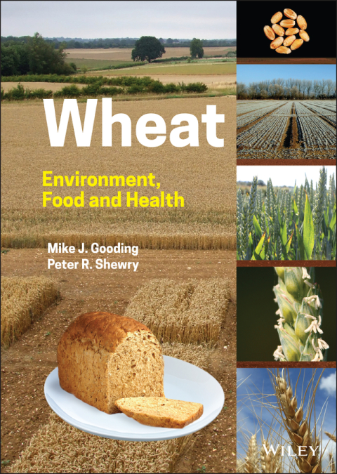 Cover image for book Wheat