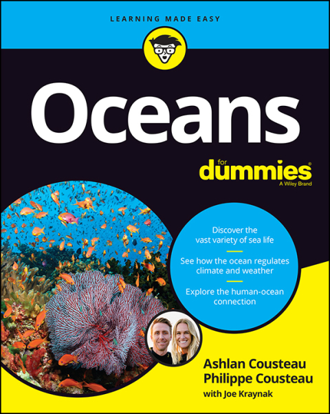 Cover image for book Oceans For Dummies
