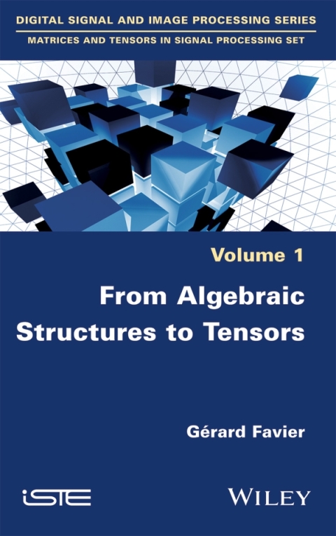 Cover image for book From Algebraic Structures to Tensors