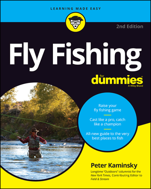 Cover image for book Fly Fishing For Dummies