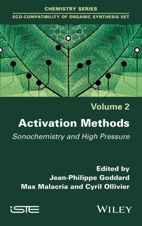 Cover image for book Activation Methods