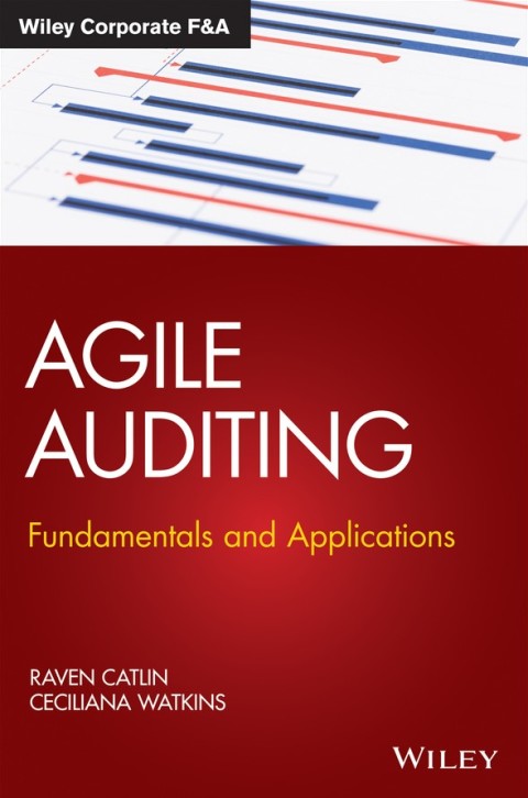 Cover image for book Agile Auditing