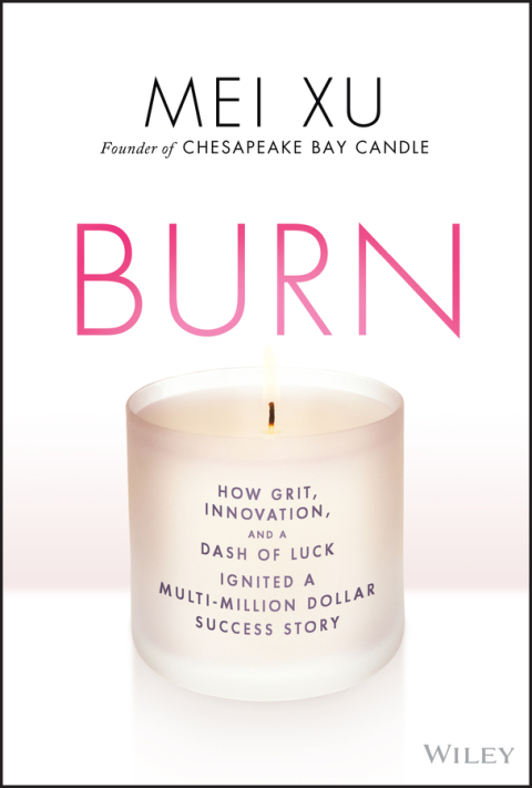 Cover image for book Burn