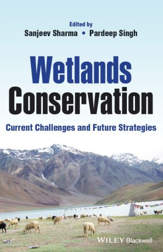 Wetlands Conservation