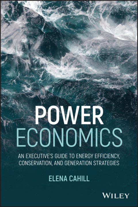 Cover image for book Power Economics
