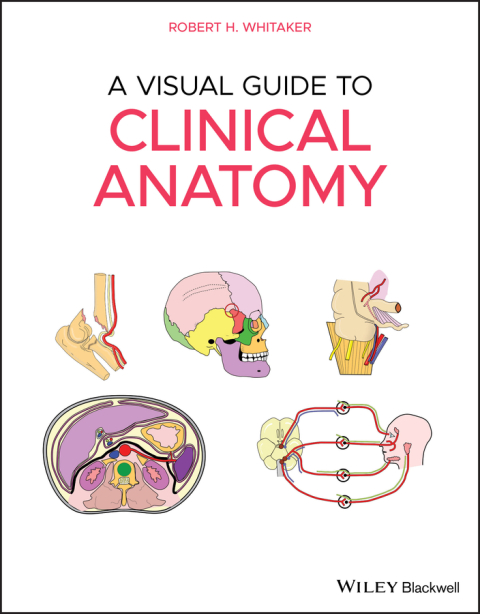 Cover image for book A Visual Guide to Clinical Anatomy