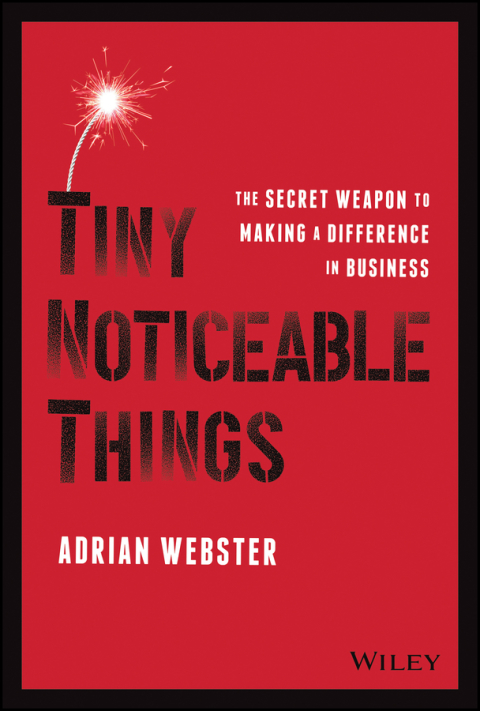 Cover image for book Tiny Noticeable Things