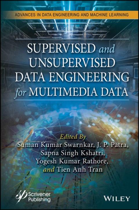 Supervised and Unsupervised Data Engineering for Multimedia Data 