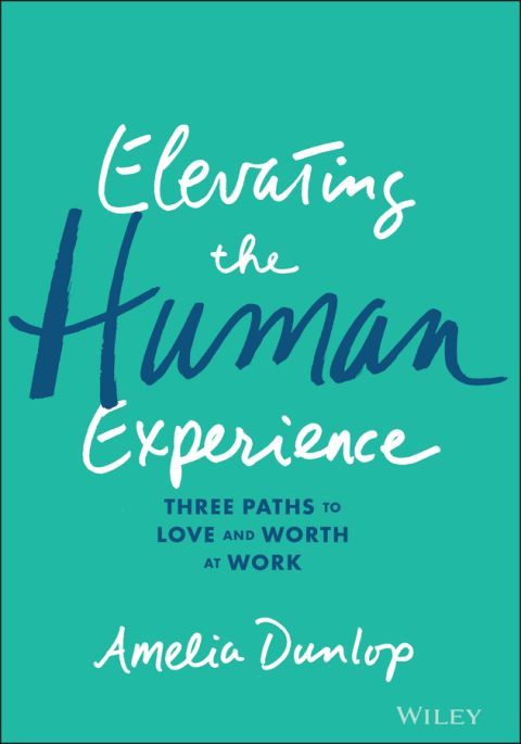 Cover image for book Elevating the Human Experience