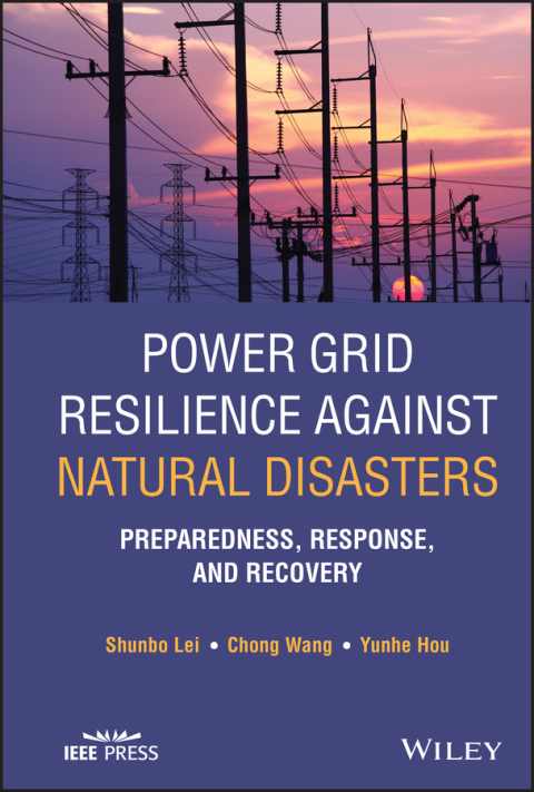 Power Grid Resilience against Natural Disasters 