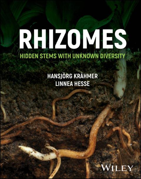 Cover image for book Rhizomes