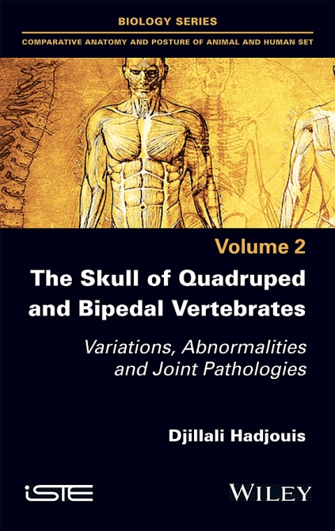 Cover image for book The Skull of Quadruped and Bipedal Vertebrates