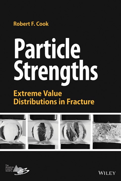 Cover image for book Particle Strengths