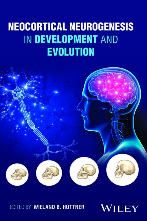 Cover image for book Neocortical Neurogenesis in Development and Evolution