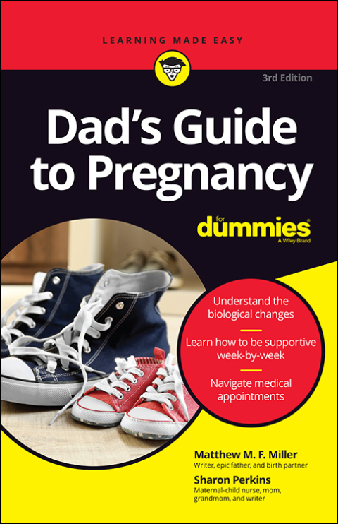 Cover image for book Dad's Guide to Pregnancy For Dummies