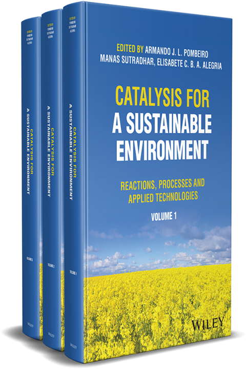 Catalysis for a Sustainable Environment 