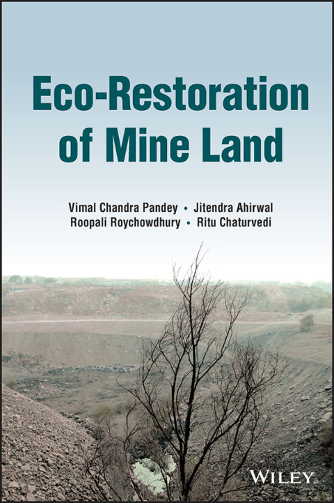 Cover image for book Eco-Restoration of Mine Land