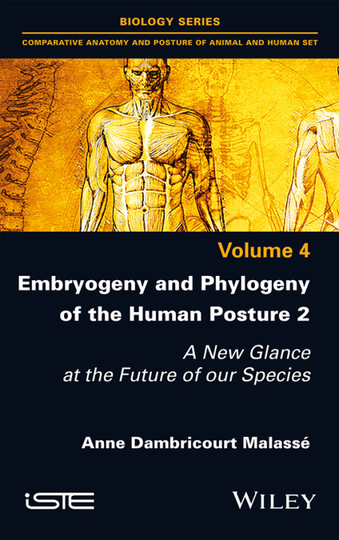 Cover image for book Embryogeny and Phylogeny of the Human Posture 2: A New Glance at the Future of our Species