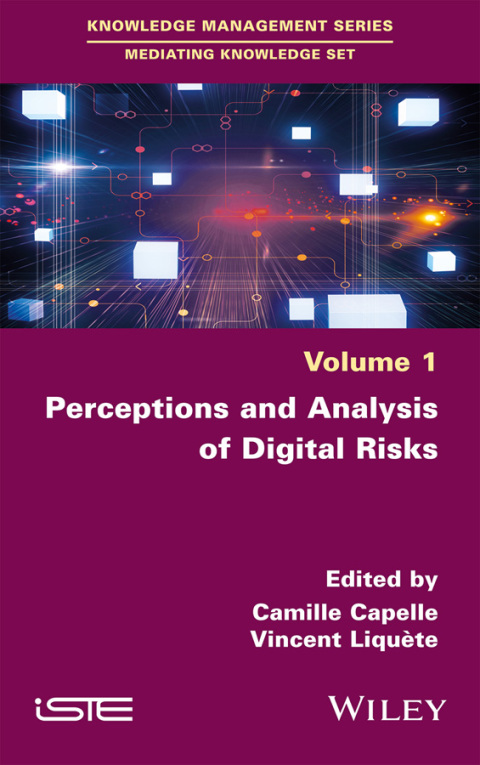 Cover image for book Perceptions and Analysis of Digital Risks