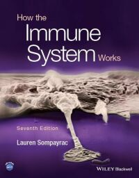 How the Immune System Works