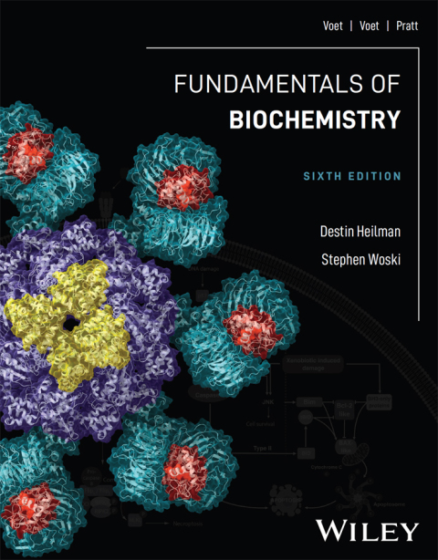 Cover image for book Fundamentals of Biochemistry