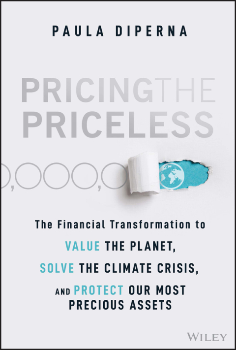 Cover image for book Pricing the Priceless