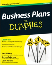 business plans for dummies 3rd edition