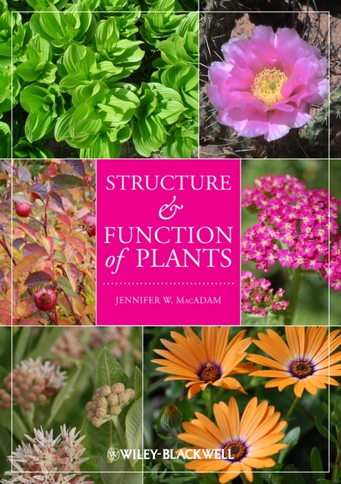 Cover image for book Structure and Function of Plants