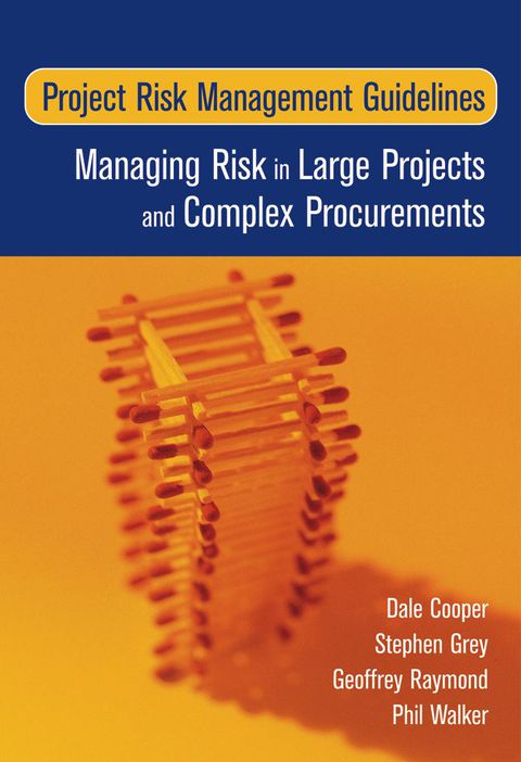 Cover image for book Project Risk Management Guidelines
