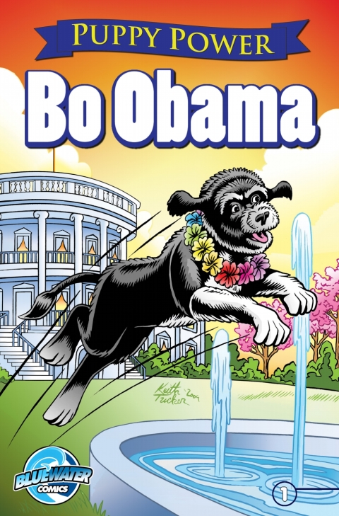 Cover image for book Bo Obama: White House Tails