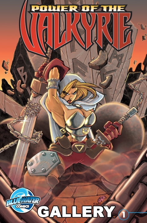 Cover image for book Power of the Valkyrie: Gallery