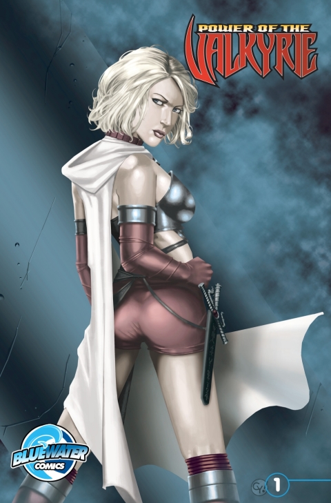 Cover image for book Power of the Valkyrie #1