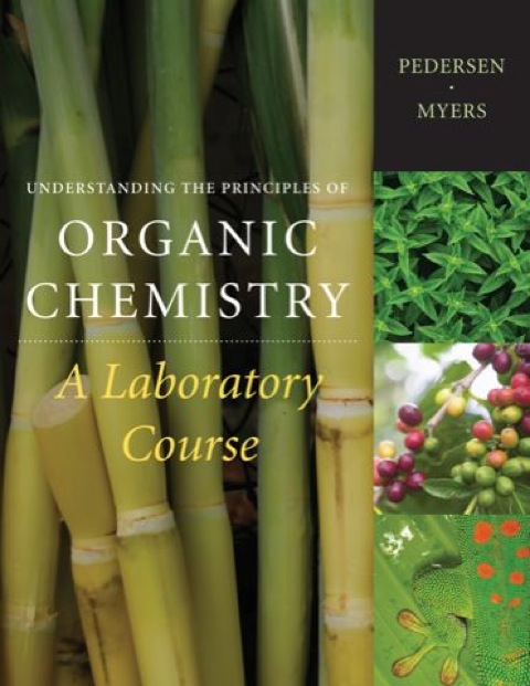 Cover image for book Understanding the Principles of Organic Chemistry: A Laboratory Course, Reprint