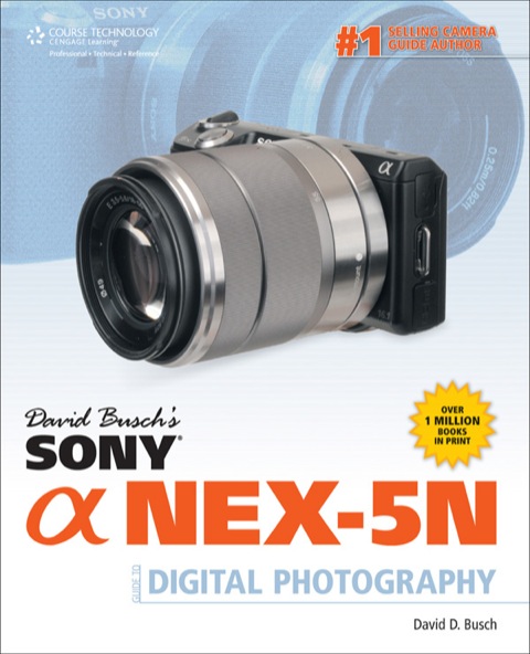 Cover image for book David Busch's Sony Alpha NEX-5N Guide to Digital Photography