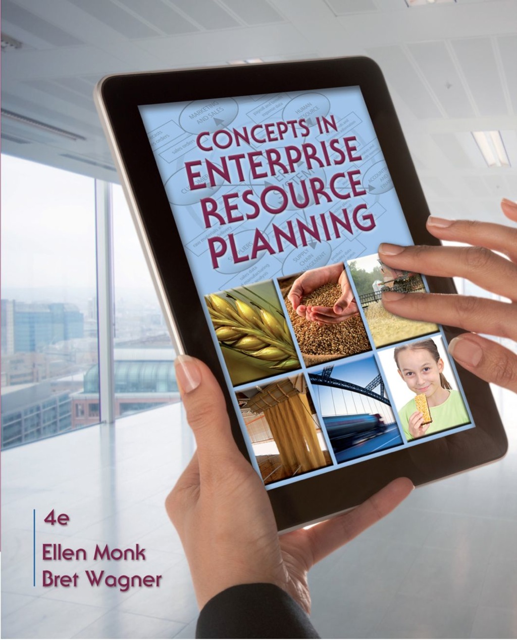 Page Fidelity Concepts in Enterprise Resource Planning; $79.91