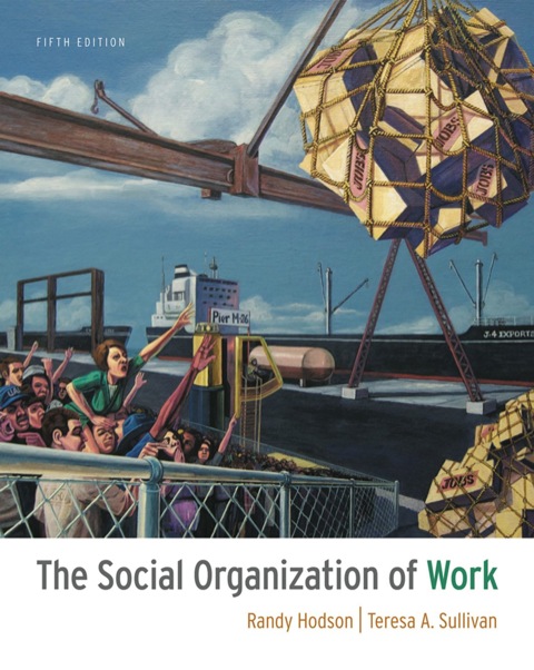 Cover image for book The Social Organization of Work