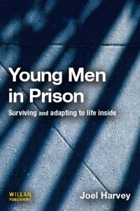 Cover image: Young Men in Prison 1st edition 9781843922032