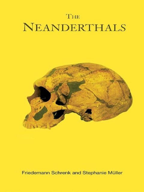 Cover image for book The Neanderthals