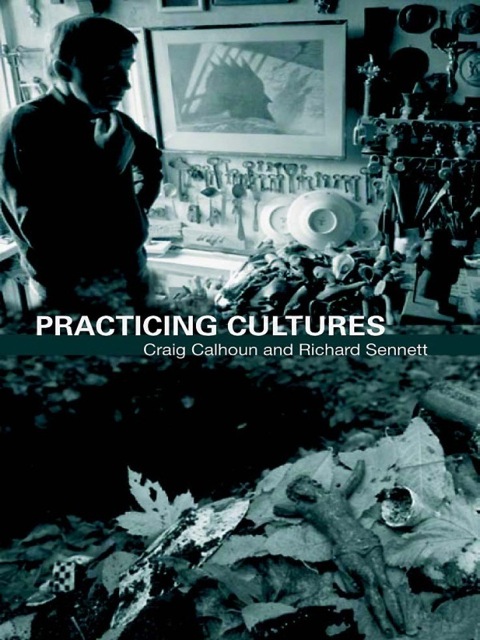 Cover image for book Practicing Culture
