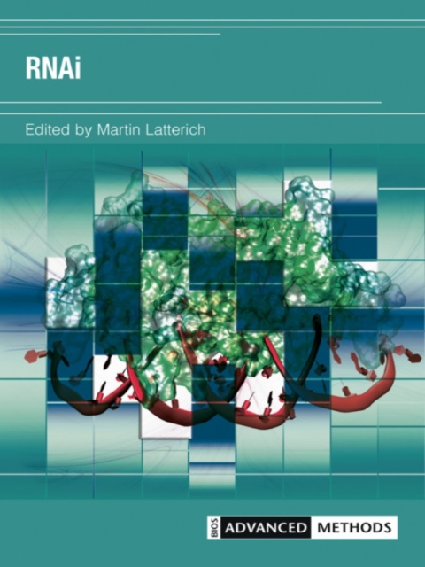 Cover image for book RNAi