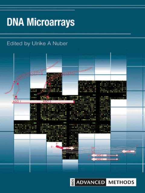 Cover image for book DNA Microarrays