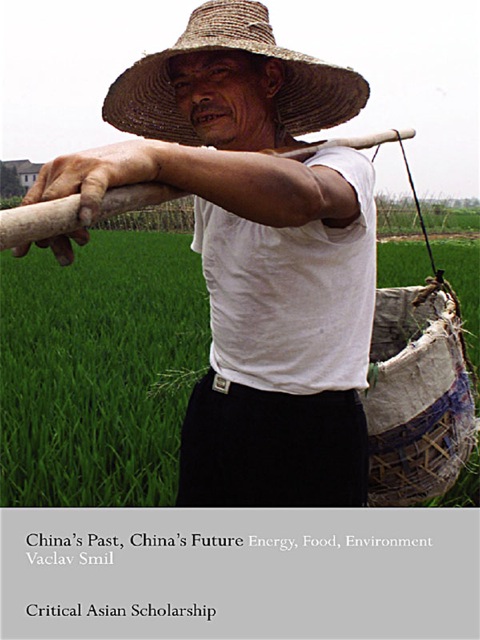 Cover image for book China's Past, China's Future