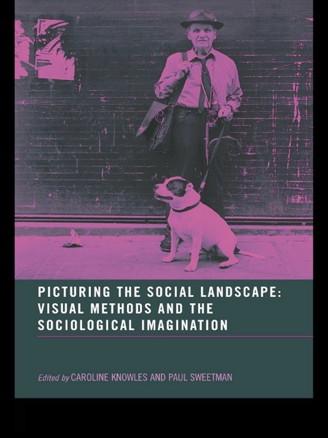Cover image for book Picturing the Social Landscape