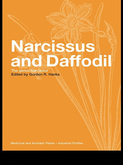 Cover image for book Narcissus and Daffodil