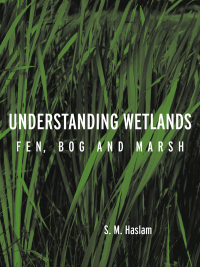 Cover image: Understanding Wetlands 1st edition 9780415257947